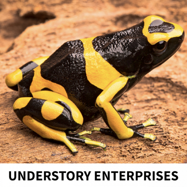 dendrobates leucomelas guyana banded