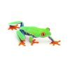 Agalychnis calidryas - Afbeelding 3