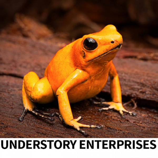 phyllobates terribilis orange