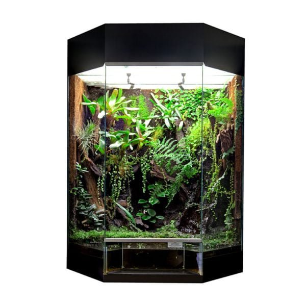 Zwart showterrarium