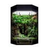 Wit Show terrarium