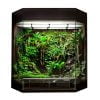 Rana show terrarium