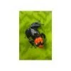 Ranitomeya benedicta “pampa hermosa“ - Afbeelding 2