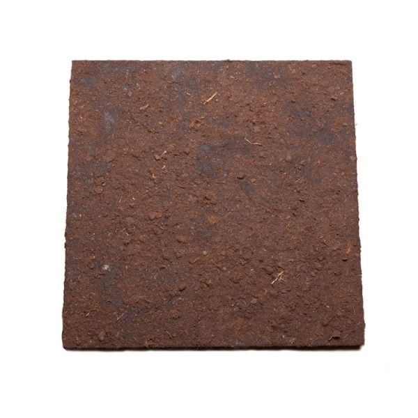 Wandbekleding tempex met elastopur en turfstrooisel (50x50x2 cm)