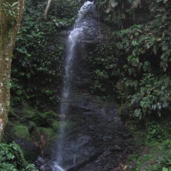 1200420707_suriname4