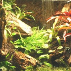 1200422439_antwerpen001