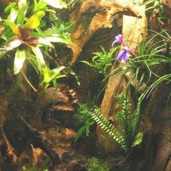 1200422439_antwerpen002