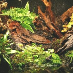 1200422439_antwerpen003