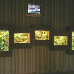 1200422439_antwerpen005