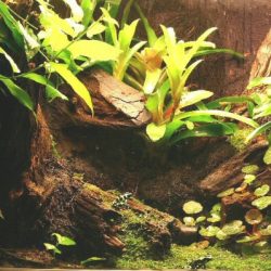 1200422440_antwerpen007