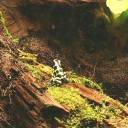 1200422440_antwerpen008