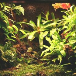 1200422440_antwerpen009