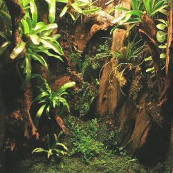 1200422440_antwerpen010