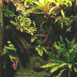 1200422440_antwerpen011