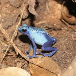 1200646022_suriname14