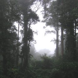 1200646913_suriname24