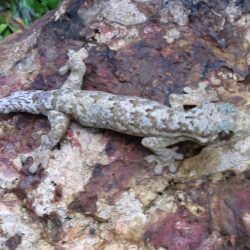 1200646914_suriname25