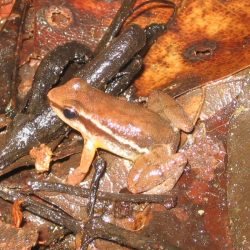 1200646914_suriname26