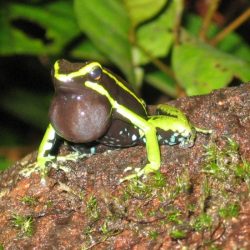 1200646915_suriname29