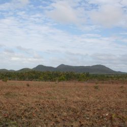 1200646917_suriname49