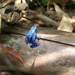 1200646918_suriname57