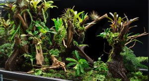 rana-october-2016-15