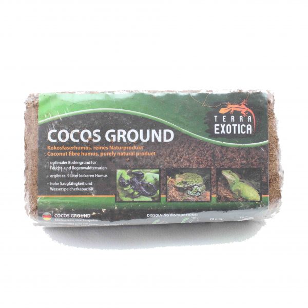 cocos ground
