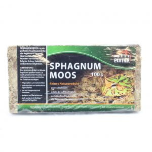 Sphagnum mos