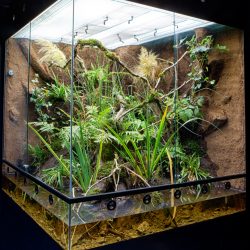 gaia zoo limburg huis