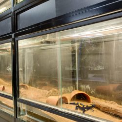 gaia zoo limburg huis-10