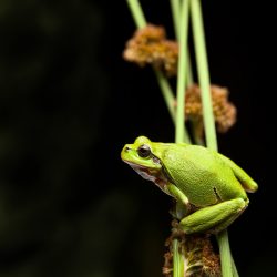 gaia zoo limburg huis-14