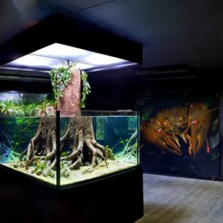 gaia zoo limburg huis-17