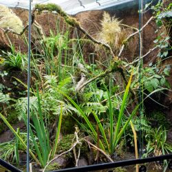 gaia zoo limburg huis-2