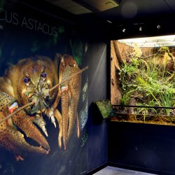 gaia zoo limburg huis-3