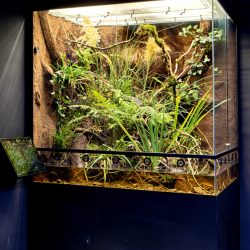 gaia zoo limburg huis-4