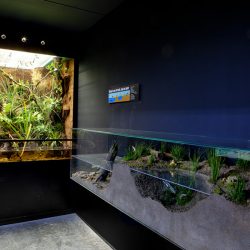 gaia zoo limburg huis-6