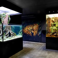 gaia zoo limburg huis-7