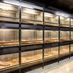 gaia zoo limburg huis-8