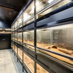 gaia zoo limburg huis-9