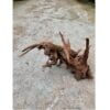 Tropisch wortelhout groot (+/- 40-50cm - Afbeelding 3