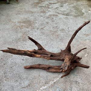 Tropisch wortelhout groot (+/- 40-50cm