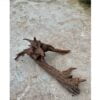 Tropisch wortelhout middel (+/- 30-40cm) - Afbeelding 3