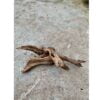 Tropisch wortelhout middel (+/- 30-40cm) - Afbeelding 2