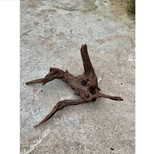 Tropisch wortelhout middel (+/- 30-40cm)