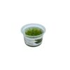 Vesicularia montagnei Christmas mos - Afbeelding 3